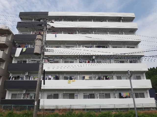 シルフィ―木原